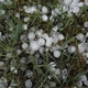 Hail Damage: Prepare and Lessen Potential Impact